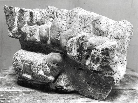 lupus in fabula 1.jpg