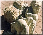 cavalli al torrente 3.jpg