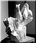 sui tamerischi 4.jpg