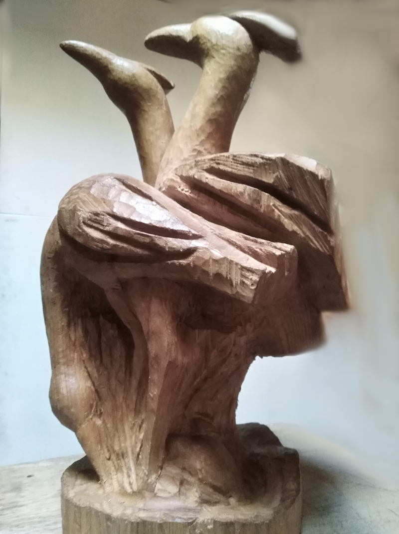 visione